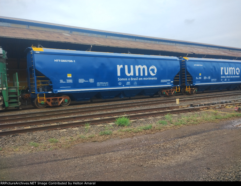 RUMO HTT-065738-1